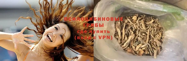 ALPHA PVP Белокуриха
